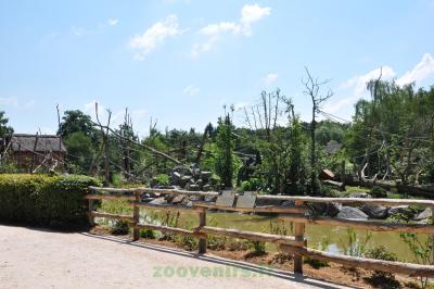 Saïmiri - Capucin à poitrine jaune - 2014