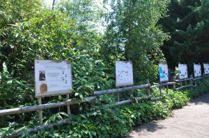 Parcours de visite