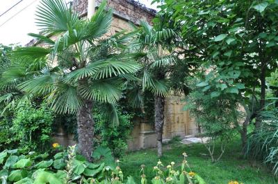 Volière du Nouveau Monde - 2014