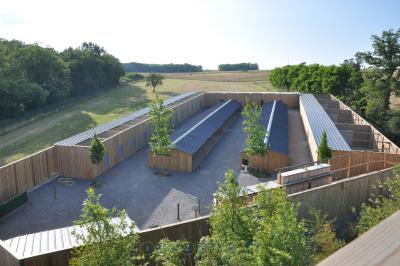 Présentation des oiseaux en vol - Volières d'élevage - 2014