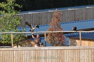 Aigles
