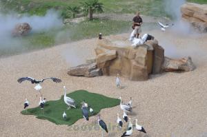 2 Présentation des oiseaux en vol