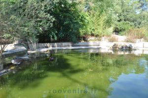 Plan d'eau
