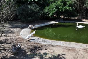 Plan d'eau