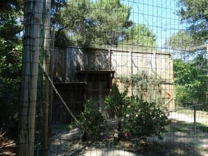 Grand duc
