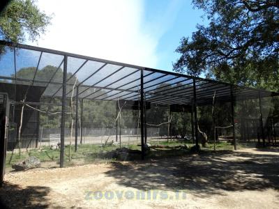 Grande volière - 2015