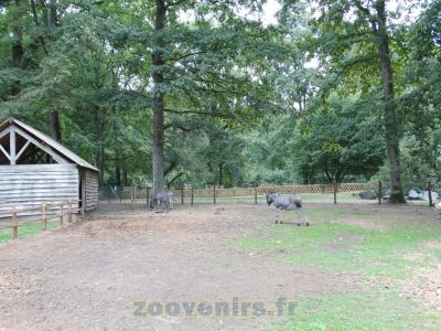 Ane de Provence - 2015