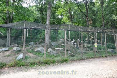 Vautour fauve - 2015