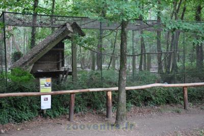 Chouette effraie - 2015