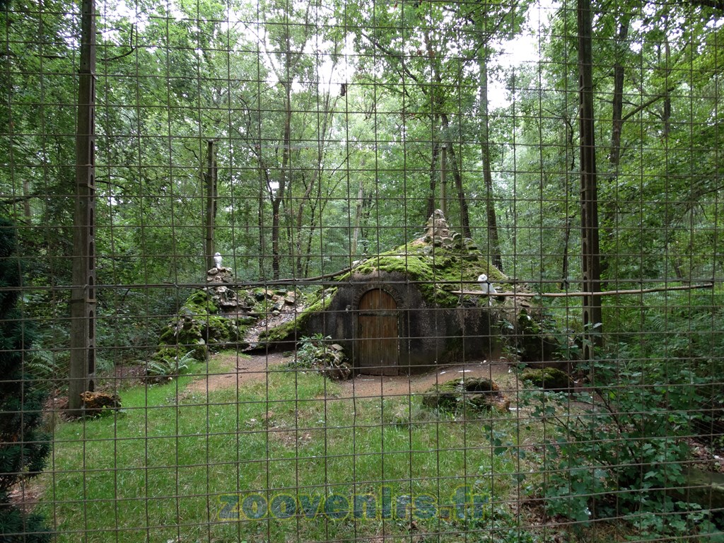 Harfang des neiges - 2015