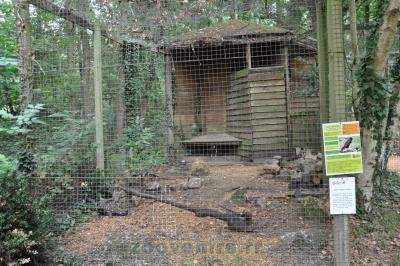 Buse variable - 2015