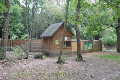 Loutre d'Europe - 2015