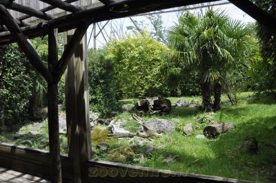 Chat pécheur - 2016