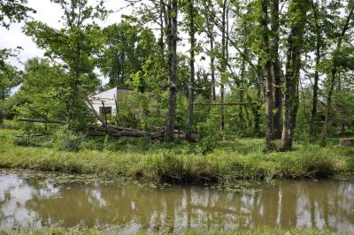 Capucin à poitrine jaune - 2016