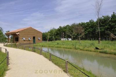 Atèle à face rouge - 2016