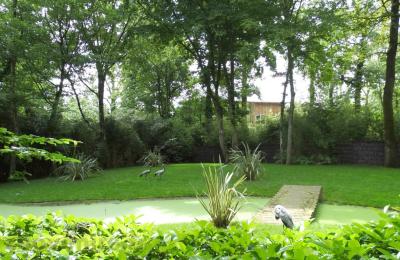 Grue demoiselle - 2013