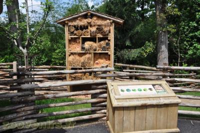 Hôtel à insectes - 2013