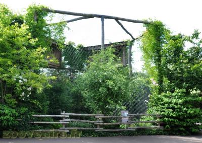 Aigle des verreaux - 2013