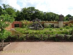 Gorille de l'Ouest