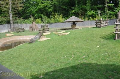 Tapir terrestre - Kamichi à collier - 2013