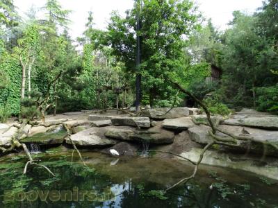 Grue du Canada - Eider - Aigrette - Échasse - 2013