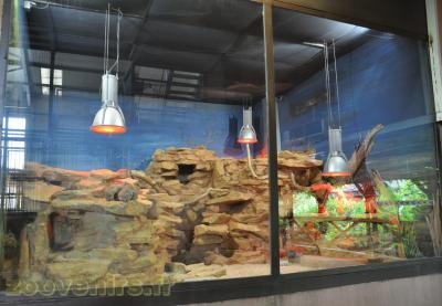 Goundi de l'Atlas - 2013