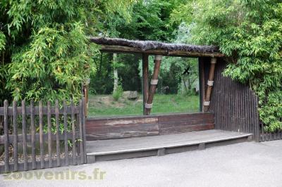 Hyène rayée - 2013