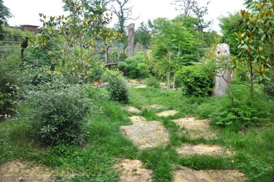 Tigre de Sumatra - 2013