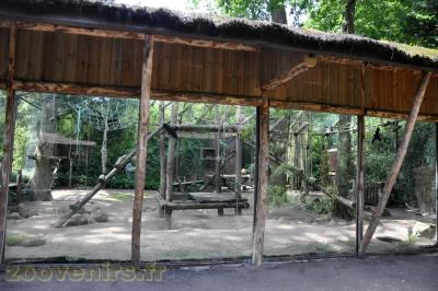 Macaque crabier - 2013