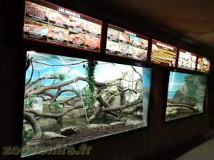 Vivarium