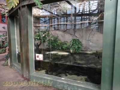 Anaconda vert - 2016