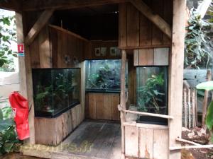 Terrariums des grenouilles