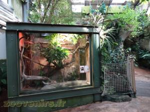 Boa constricteur