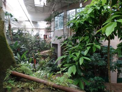 Vue générale - 2016