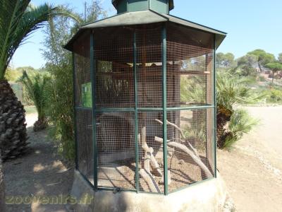 You-you du Sénégal