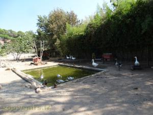 Basse-cour