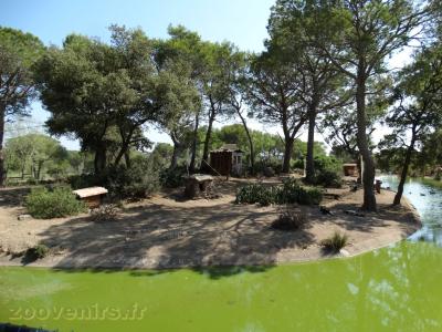 Maki vari - Maki catta