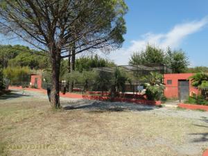 Parcours de visite