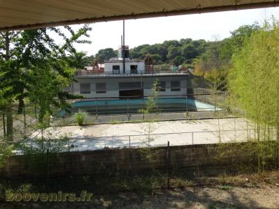Otarie à fourrure (abandonné)