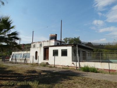 Otarie à fourrure (abandonné)