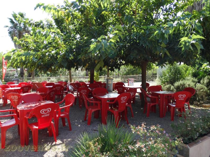 Terrasse de la buvette