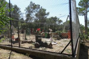 Cage en projet