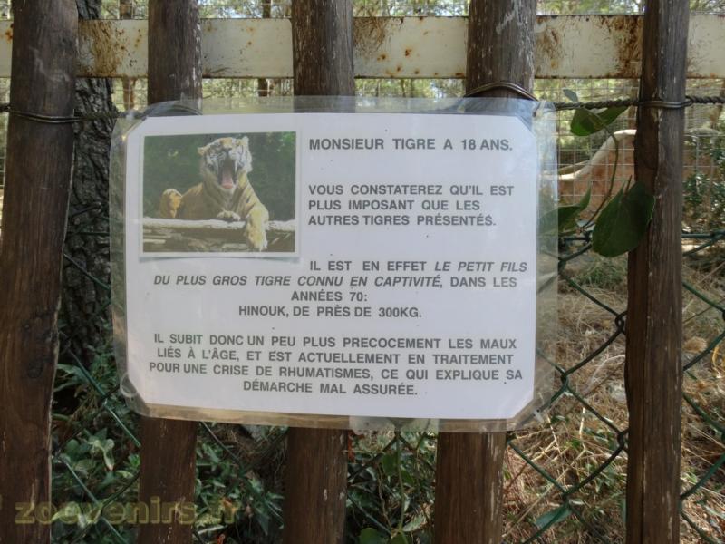 Panneau "Information"