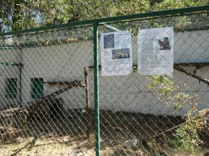 Panneau "Espèce"