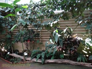 Le parcours de visite