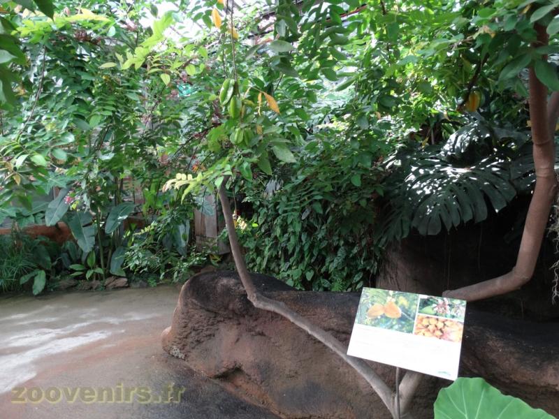 Parcours de visite