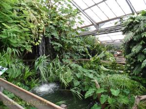 Bassin amazonien