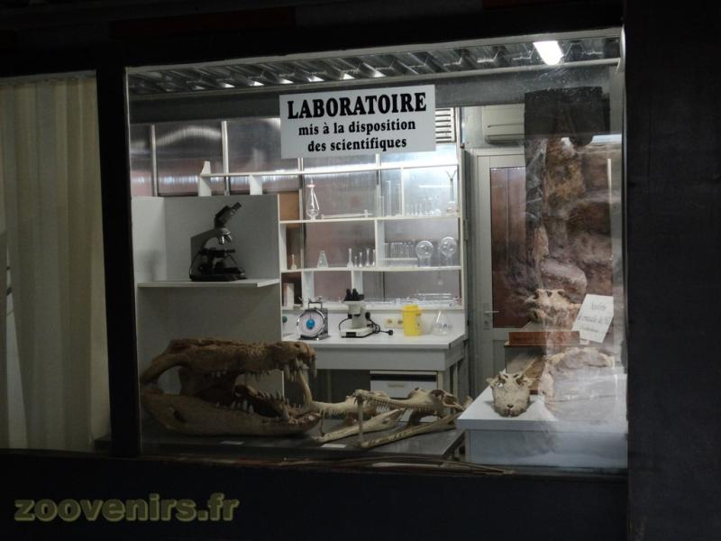 Le laboratoire