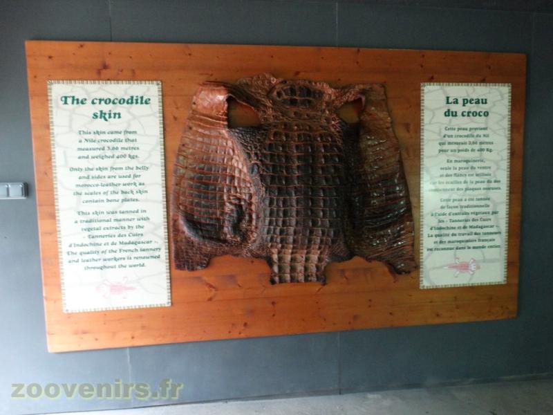 Information pédagogique