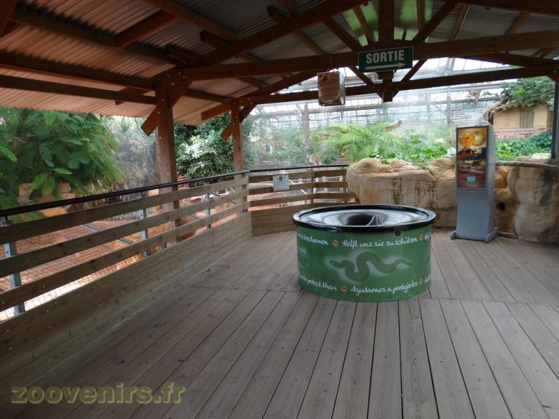 Affut sur les gavials du Gange